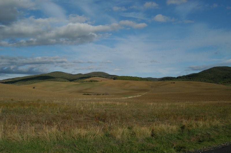 BIBBONA CAMPAGNA